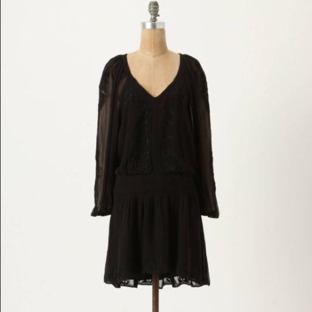 Anthropologie leifsdottir embroidered silk sheer
